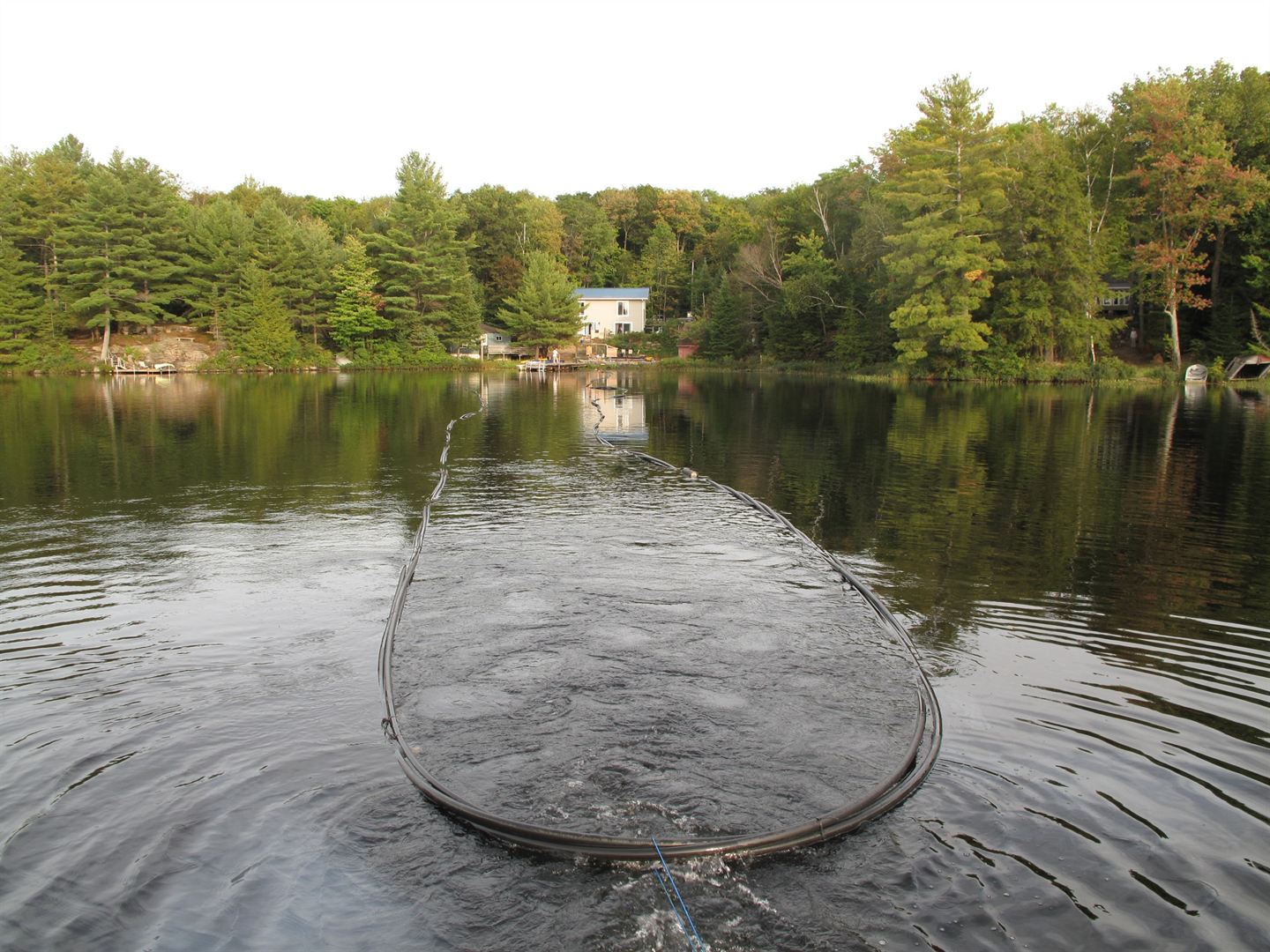 Coiled geothermal loop floating on a lake.